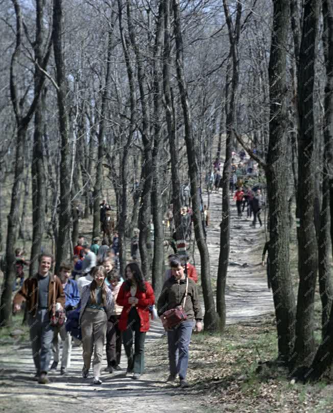 Természet - Életkép - Szabadidő - Kirándulók a Pilisben