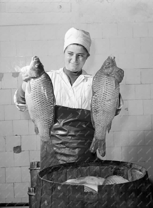 Élelmiszeripar - Halászlé szezon a Szegedi Konzervgyárban