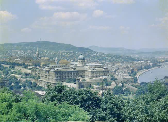 Városkép - Látkép a budai várról 