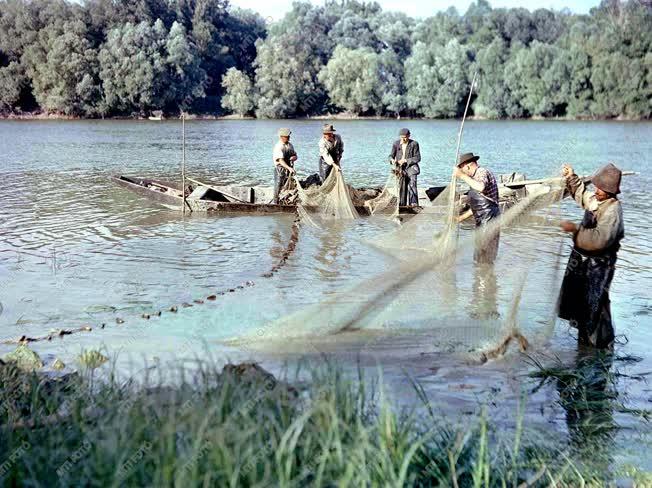 Halászathoz készülnek a bajai halászati tsz tagjai