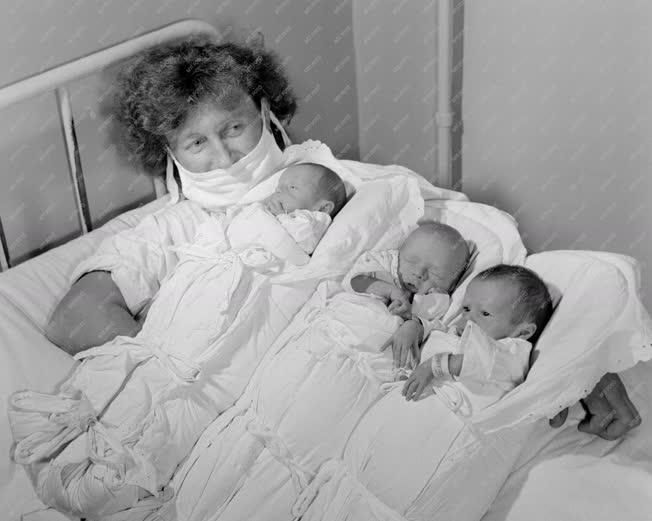 Egészségügy - Család - Hármasikrek születtek Egerben