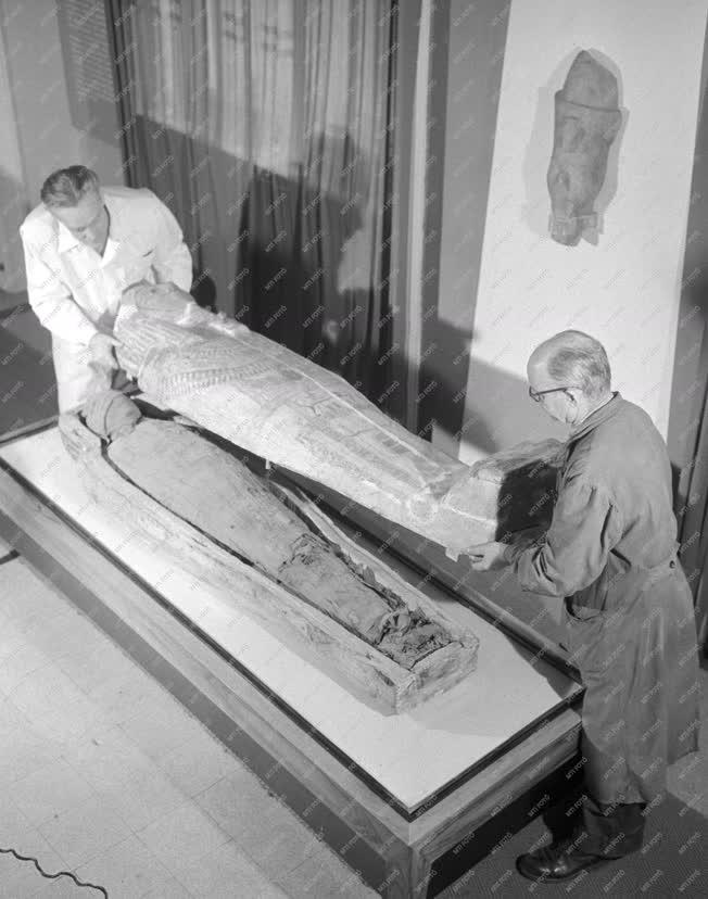 Régészet - Múmia a debreceni Déri Múzeumban