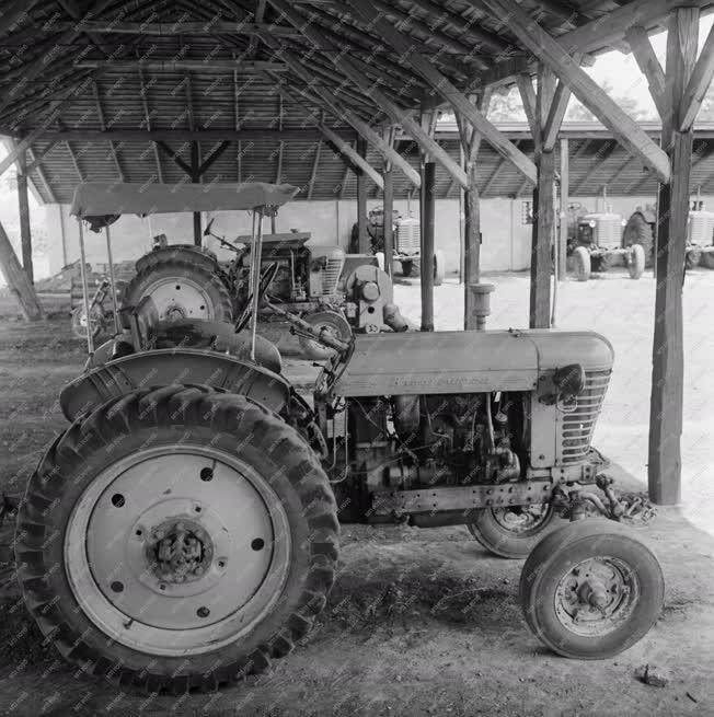 Mezőgazdaság - Traktorok
