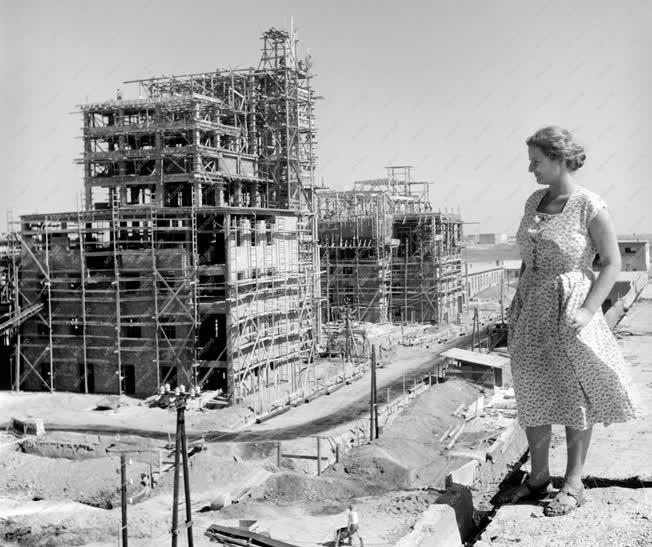 Első ötéves terv - Sztálinváros építése