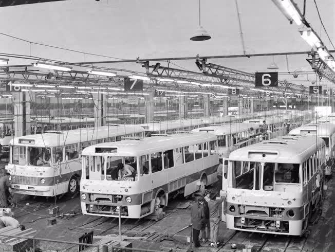 Ipar - Készülnek az autóbuszok az Ikarusban