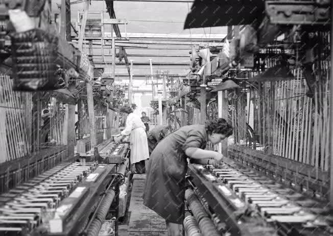 Ipar - Textilipar - A Lőrinci Szalagszövő- és Csipkegyár