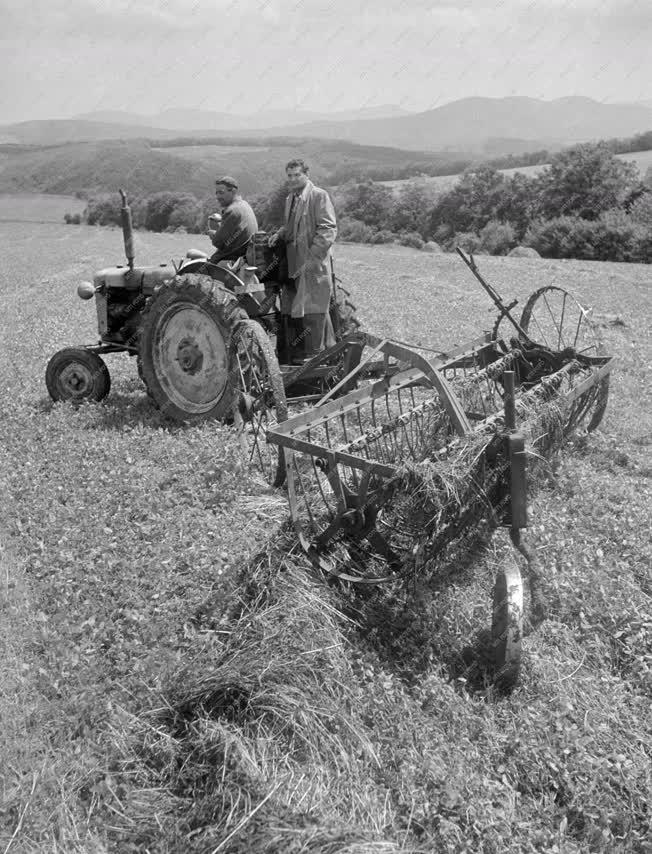 Mezőgazdaság - Új lucernaszárítási módszer az Ipolyvölgyi Állami Gazdaságban