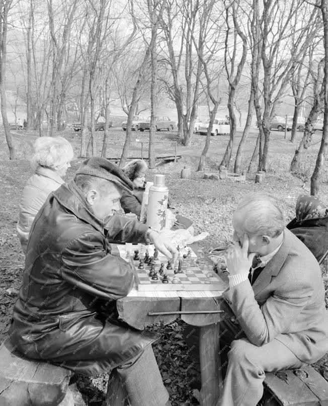 Szabadidő - Sakkozók a Pilisben