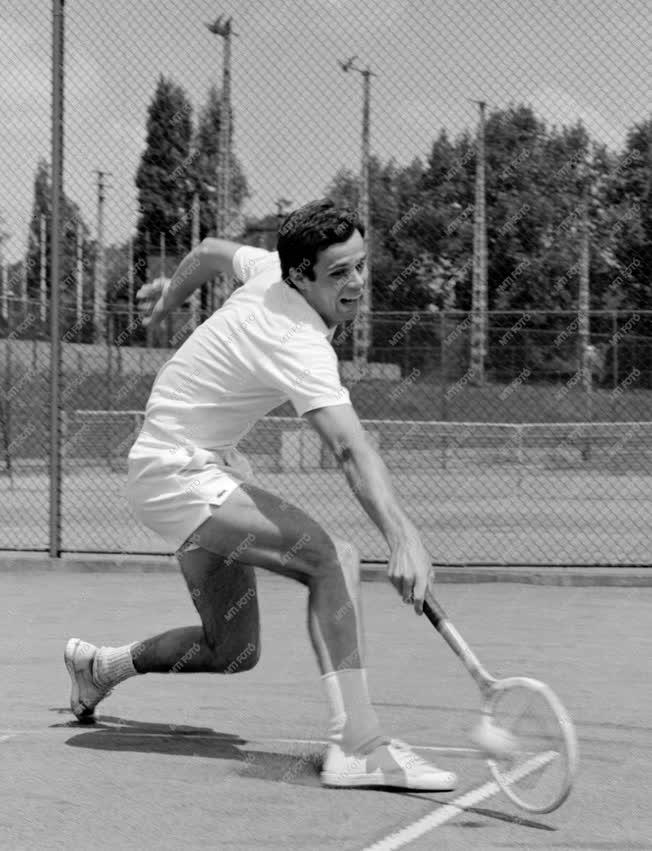 Sport - Tenisz - Taróczy Balázs