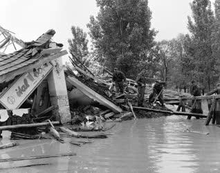 Tiszai árvíz 1970. - Újjáépítés - Romeltakarítás