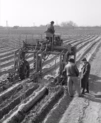 Mezőgazdaság - Szőlőtermesztés - Tavaszi munkák