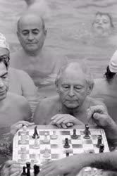 Életkép - Sakkozók a Széchenyi fürdő medencéjében