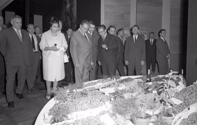 Külkapcsolat - Joszip Broz Tito jugoszláv elnök az Országos Mezőgazdasági Kiállításon