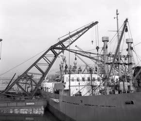 Ipar - Hajógyártás Újpesten  - A Hazám nevű Duna-tengerjáró 