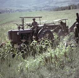 Mezőgazdaság - Őszi mezőgazdasági munkák Nagydorogon