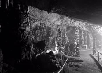 Barlangászat - Baradla barlang