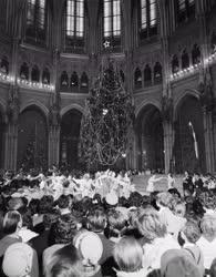 Ünnep - Belpolitika - Karácsonyi ünnepség a Parlamentben