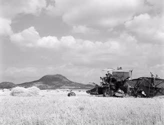 Mezőgazdaság - Befejeződött az aratás Tapolcánál