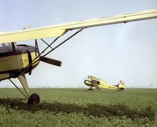 Mezőgazdaság - Repülőgépes növényvédelem Bánhalmán