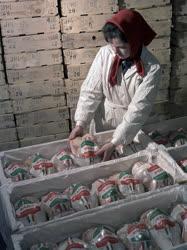 Élelmiszeripar - Pulykahúst exportálnak Törökszentmiklósról