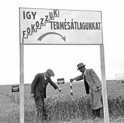 Mezőgazdaság - Műtrágyázás 1950-ben