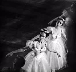 Balett - A Moszkvai Nagyszínház balettegyüttese